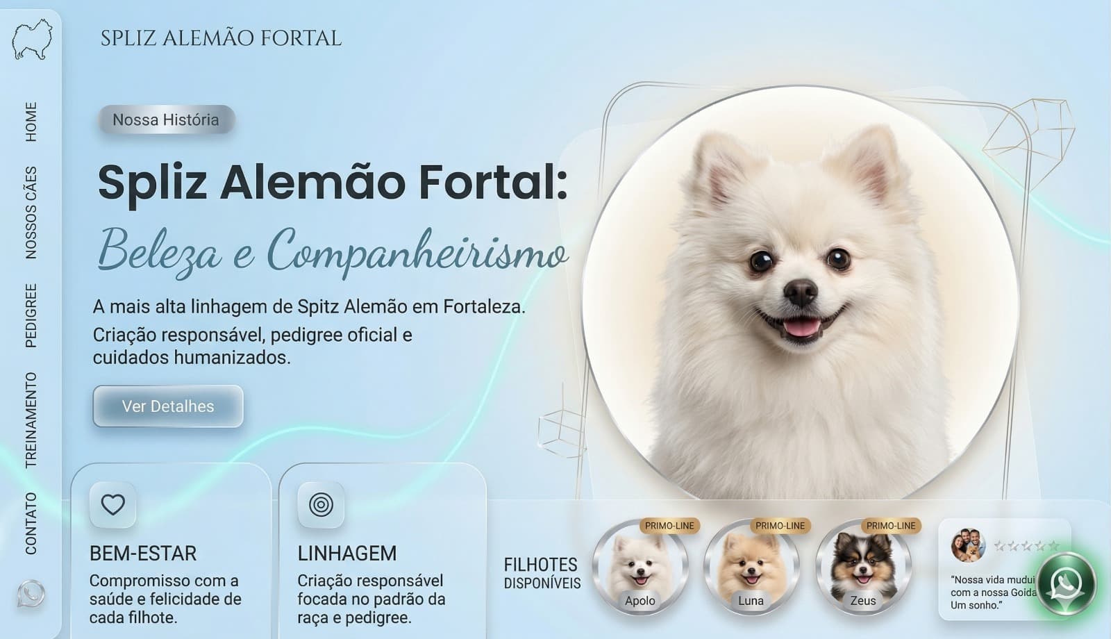 Spitz Alemão Fortal